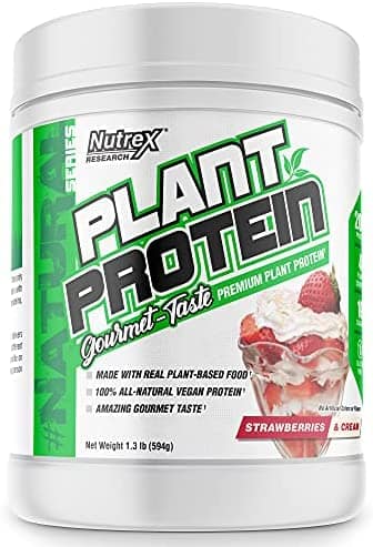 PLANT PROTEIN Best Tasting Vegan Protein